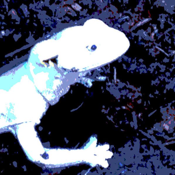 song cover art for Twaddle Trot